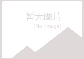 偃师夏岚化学有限公司